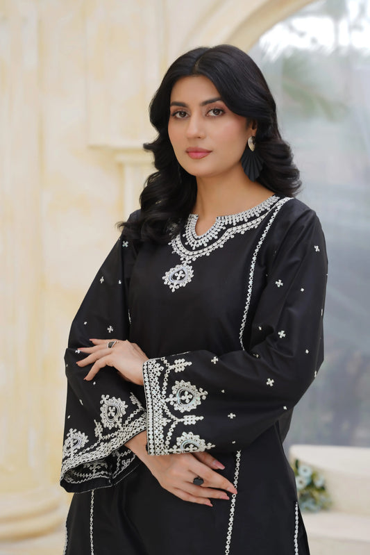 Zara 2pc Embroidered Dress